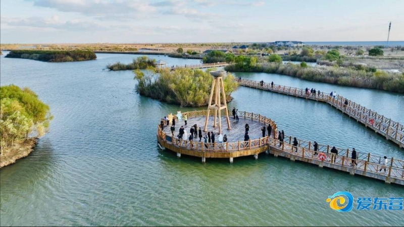 球员需要指 球员需要指