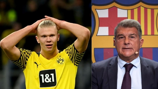 几个高光 几个高光